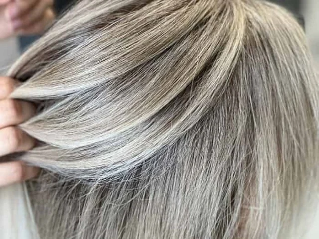 راهنمای رنگ و مش