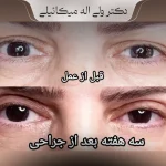 DrMikaeili-nemoonekar-galeb3